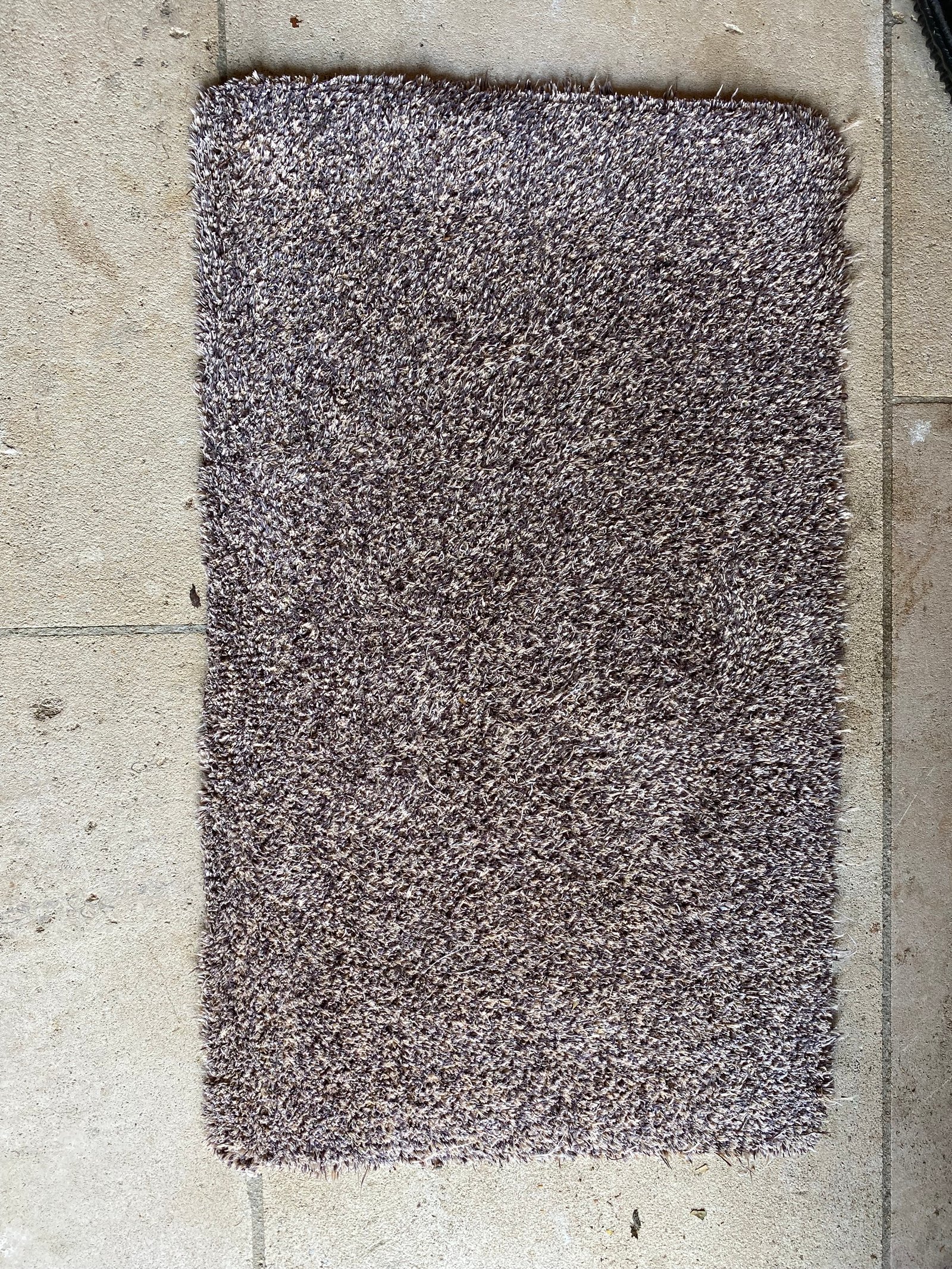 Tapis ravivé après shampouinage