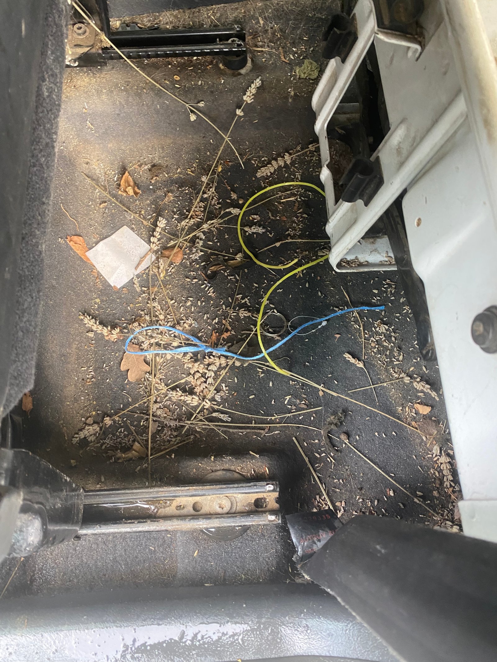 Plastiques nettoyés